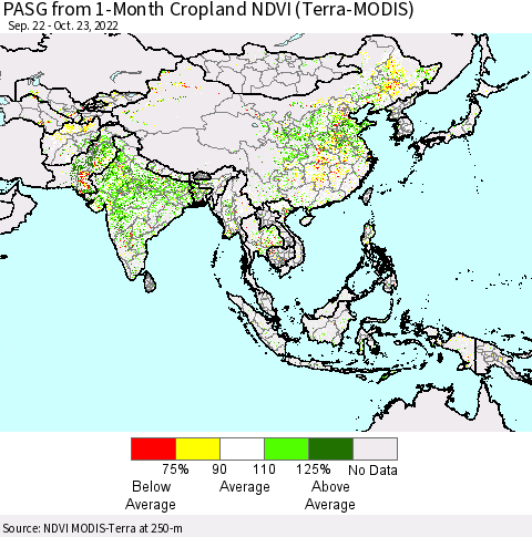 Asia PASG from 1-Month Cropland NDVI (Terra-MODIS) Thematic Map For 10/16/2022 - 10/23/2022