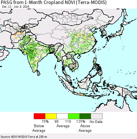 Asia PASG from 1-Month Cropland NDVI (Terra-MODIS) Thematic Map For 1/1/2024 - 1/8/2024