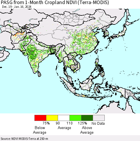 Asia PASG from 1-Month Cropland NDVI (Terra-MODIS) Thematic Map For 1/9/2024 - 1/16/2024