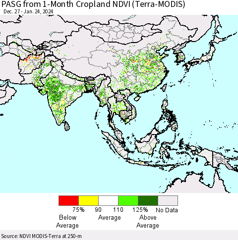 Asia PASG from 1-Month Cropland NDVI (Terra-MODIS) Thematic Map For 1/17/2024 - 1/24/2024