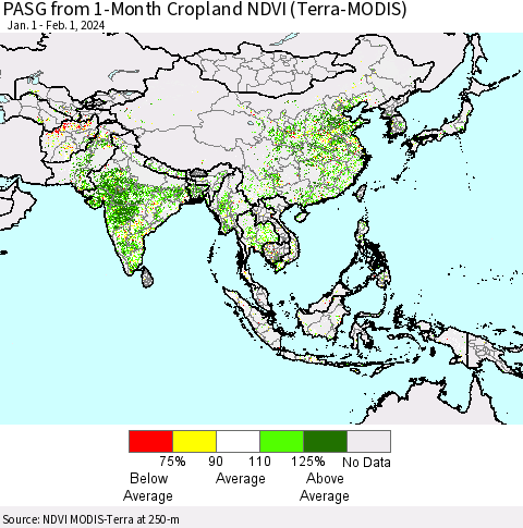 Asia PASG from 1-Month Cropland NDVI (Terra-MODIS) Thematic Map For 1/25/2024 - 2/1/2024