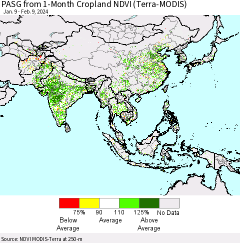 Asia PASG from 1-Month Cropland NDVI (Terra-MODIS) Thematic Map For 2/2/2024 - 2/9/2024