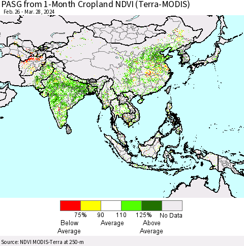 Asia PASG from 1-Month Cropland NDVI (Terra-MODIS) Thematic Map For 3/21/2024 - 3/28/2024