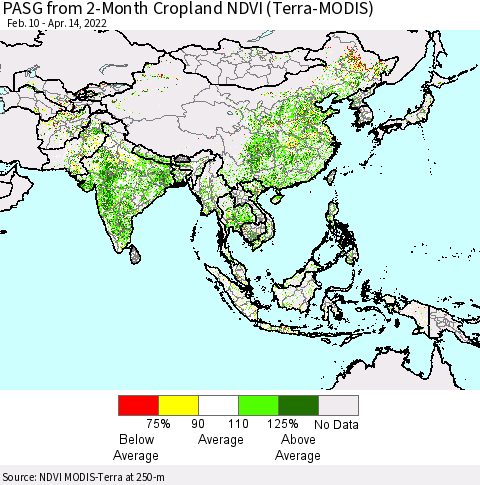 Asia PASG from 2-Month Cropland NDVI (Terra-MODIS) Thematic Map For 4/7/2022 - 4/14/2022