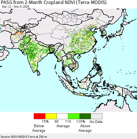 Asia PASG from 2-Month Cropland NDVI (Terra-MODIS) Thematic Map For 2/2/2024 - 2/9/2024
