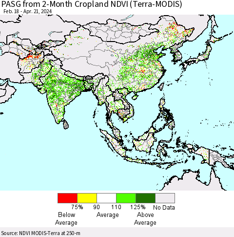 Asia PASG from 2-Month Cropland NDVI (Terra-MODIS) Thematic Map For 4/14/2024 - 4/21/2024
