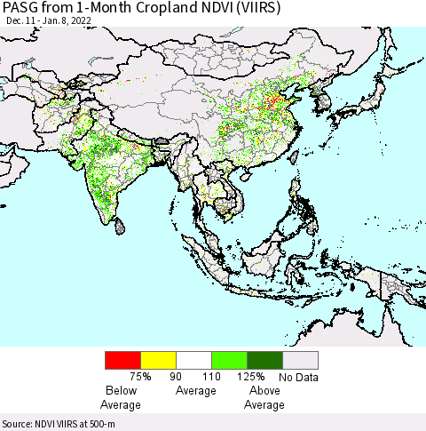 Asia PASG from 1-Month Cropland NDVI (VIIRS) Thematic Map For 1/1/2022 - 1/8/2022
