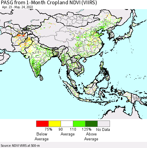 Asia PASG from 1-Month Cropland NDVI (VIIRS) Thematic Map For 5/17/2022 - 5/24/2022