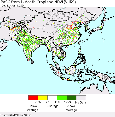 Asia PASG from 1-Month Cropland NDVI (VIIRS) Thematic Map For 1/1/2024 - 1/8/2024