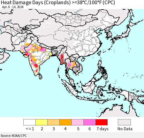 Asia Heat Damage Days (Croplands) >=38°C/100°F (CPC) Thematic Map For 4/8/2024 - 4/14/2024