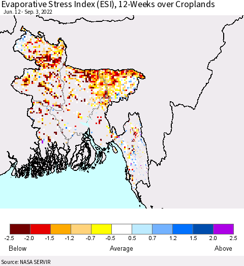 Bangladesh Evaporative Stress Index (ESI), 12-Weeks over Croplands Thematic Map For 8/29/2022 - 9/4/2022