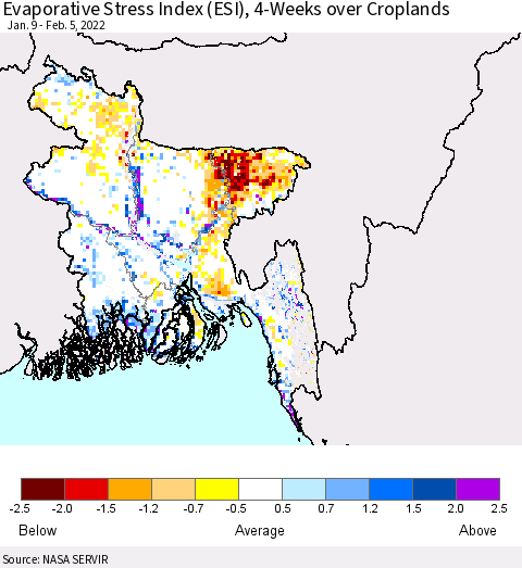 Bangladesh Evaporative Stress Index (ESI), 4-Weeks over Croplands Thematic Map For 1/31/2022 - 2/6/2022