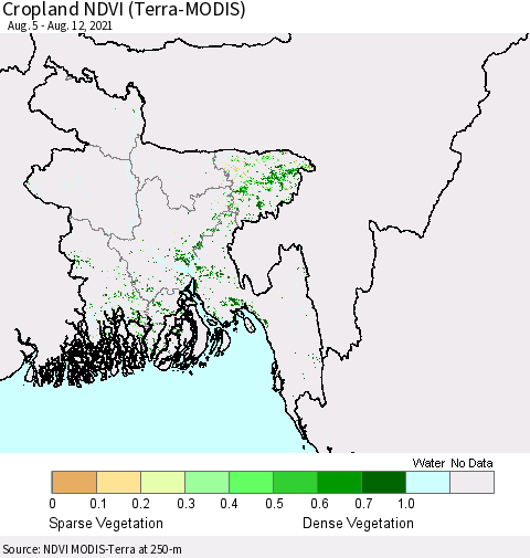 Bangladesh Cropland NDVI (Terra-MODIS) Thematic Map For 8/5/2021 - 8/12/2021