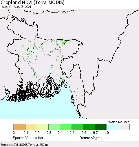 Bangladesh Cropland NDVI (Terra-MODIS) Thematic Map For 8/21/2021 - 8/28/2021
