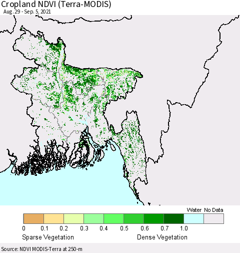 Bangladesh Cropland NDVI (Terra-MODIS) Thematic Map For 8/29/2021 - 9/5/2021