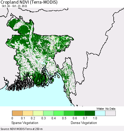 Bangladesh Cropland NDVI (Terra-MODIS) Thematic Map For 10/16/2021 - 10/23/2021