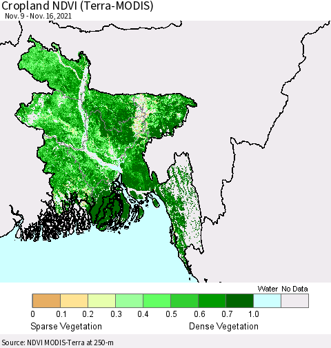 Bangladesh Cropland NDVI (Terra-MODIS) Thematic Map For 11/9/2021 - 11/16/2021