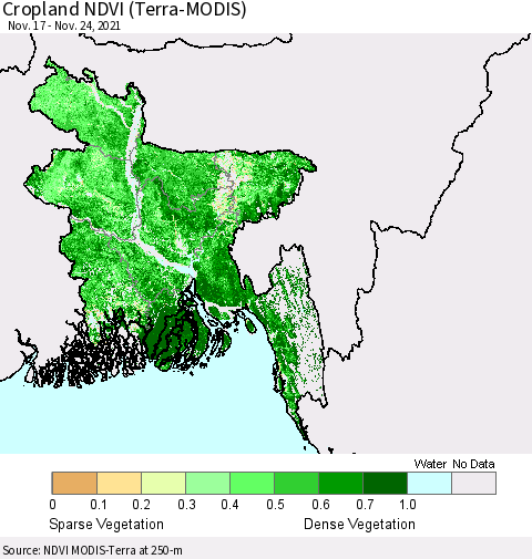 Bangladesh Cropland NDVI (Terra-MODIS) Thematic Map For 11/17/2021 - 11/24/2021