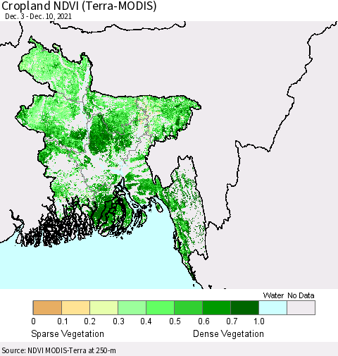 Bangladesh Cropland NDVI (Terra-MODIS) Thematic Map For 12/3/2021 - 12/10/2021