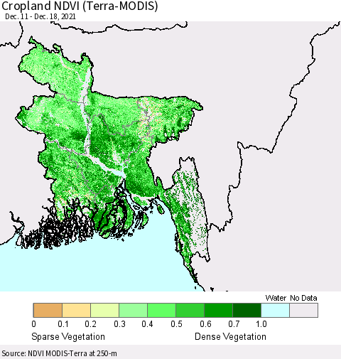 Bangladesh Cropland NDVI (Terra-MODIS) Thematic Map For 12/11/2021 - 12/18/2021