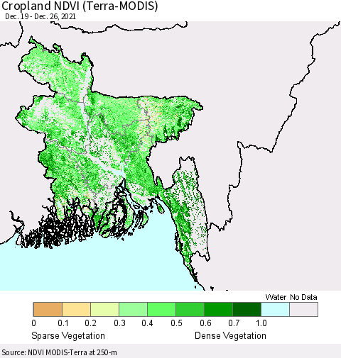 Bangladesh Cropland NDVI (Terra-MODIS) Thematic Map For 12/19/2021 - 12/26/2021