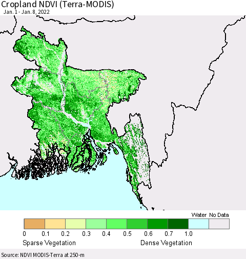 Bangladesh Cropland NDVI (Terra-MODIS) Thematic Map For 1/1/2022 - 1/8/2022