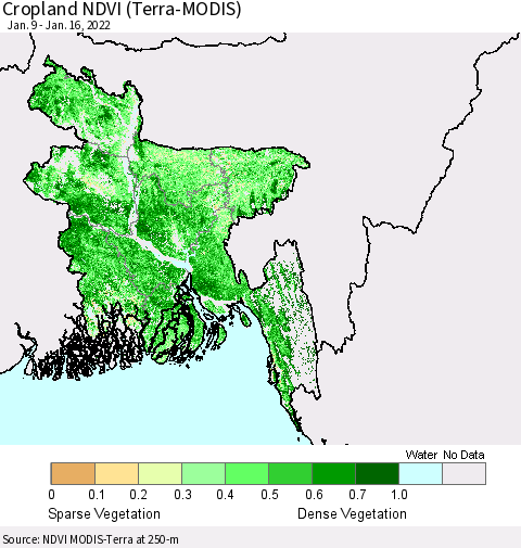 Bangladesh Cropland NDVI (Terra-MODIS) Thematic Map For 1/9/2022 - 1/16/2022