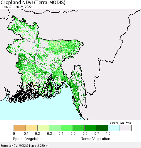 Bangladesh Cropland NDVI (Terra-MODIS) Thematic Map For 1/17/2022 - 1/24/2022