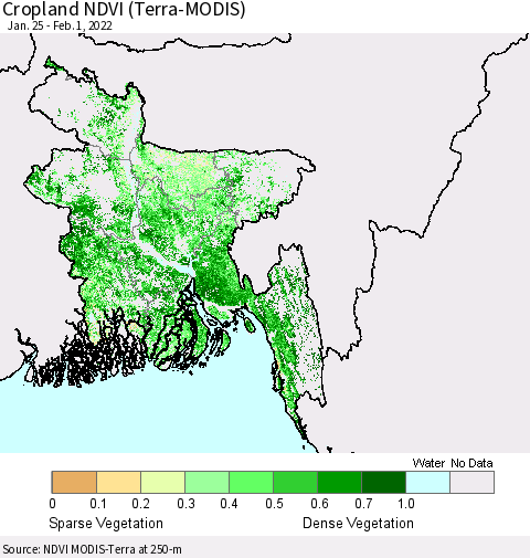 Bangladesh Cropland NDVI (Terra-MODIS) Thematic Map For 1/25/2022 - 2/1/2022