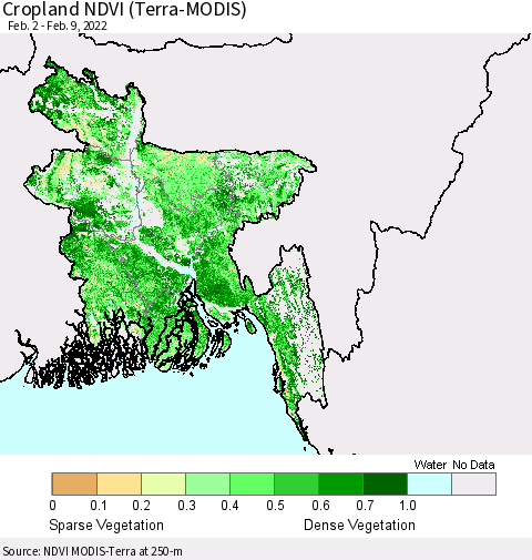 Bangladesh Cropland NDVI (Terra-MODIS) Thematic Map For 2/2/2022 - 2/9/2022