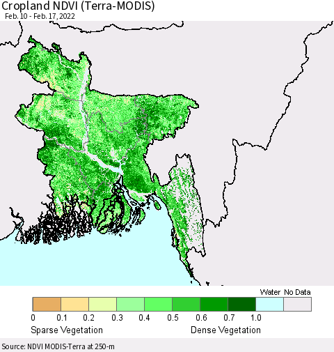 Bangladesh Cropland NDVI (Terra-MODIS) Thematic Map For 2/10/2022 - 2/17/2022