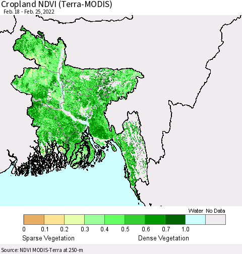 Bangladesh Cropland NDVI (Terra-MODIS) Thematic Map For 2/18/2022 - 2/25/2022