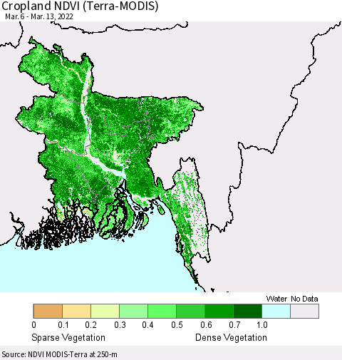 Bangladesh Cropland NDVI (Terra-MODIS) Thematic Map For 3/6/2022 - 3/13/2022
