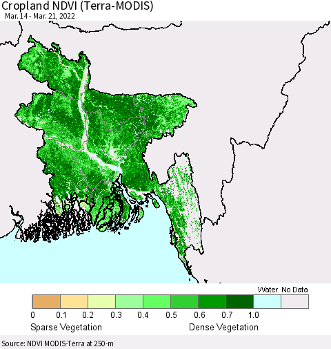 Bangladesh Cropland NDVI (Terra-MODIS) Thematic Map For 3/14/2022 - 3/21/2022