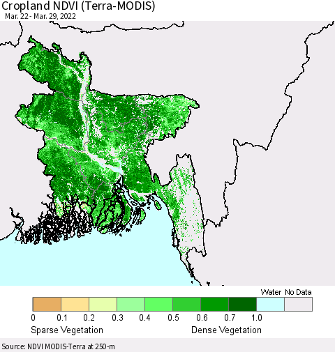 Bangladesh Cropland NDVI (Terra-MODIS) Thematic Map For 3/22/2022 - 3/29/2022
