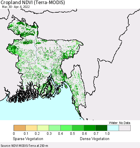 Bangladesh Cropland NDVI (Terra-MODIS) Thematic Map For 3/30/2022 - 4/6/2022