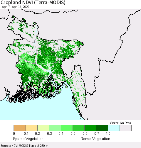 Bangladesh Cropland NDVI (Terra-MODIS) Thematic Map For 4/7/2022 - 4/14/2022