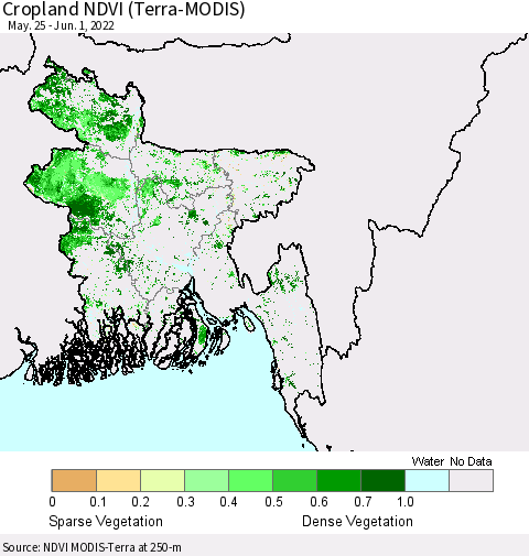 Bangladesh Cropland NDVI (Terra-MODIS) Thematic Map For 5/25/2022 - 6/1/2022