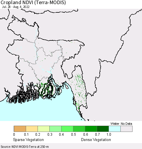 Bangladesh Cropland NDVI (Terra-MODIS) Thematic Map For 7/28/2022 - 8/4/2022