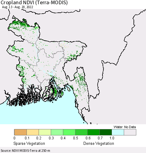 Bangladesh Cropland NDVI (Terra-MODIS) Thematic Map For 8/13/2022 - 8/20/2022