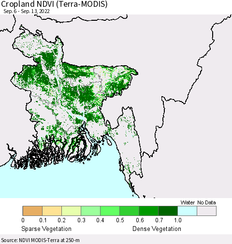 Bangladesh Cropland NDVI (Terra-MODIS) Thematic Map For 9/6/2022 - 9/13/2022