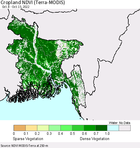 Bangladesh Cropland NDVI (Terra-MODIS) Thematic Map For 10/8/2022 - 10/15/2022