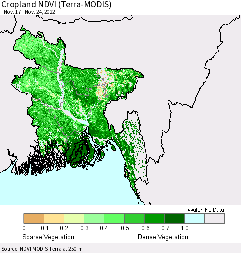 Bangladesh Cropland NDVI (Terra-MODIS) Thematic Map For 11/17/2022 - 11/24/2022