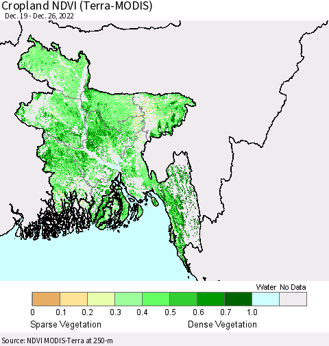 Bangladesh Cropland NDVI (Terra-MODIS) Thematic Map For 12/19/2022 - 12/26/2022