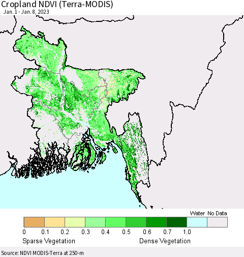 Bangladesh Cropland NDVI (Terra-MODIS) Thematic Map For 1/1/2023 - 1/8/2023