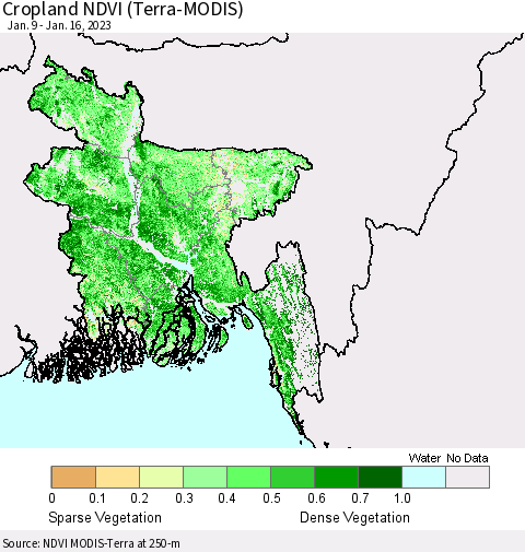 Bangladesh Cropland NDVI (Terra-MODIS) Thematic Map For 1/9/2023 - 1/16/2023