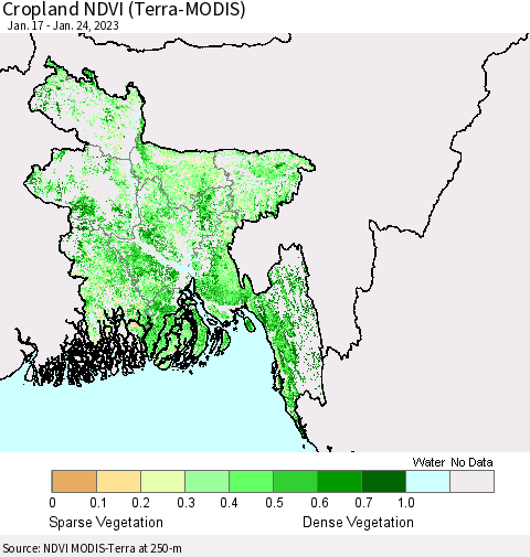Bangladesh Cropland NDVI (Terra-MODIS) Thematic Map For 1/17/2023 - 1/24/2023