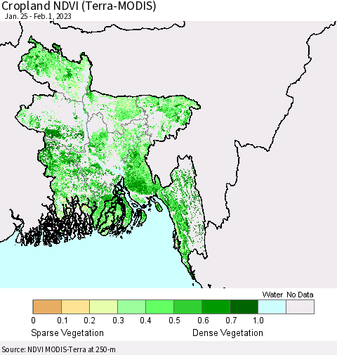 Bangladesh Cropland NDVI (Terra-MODIS) Thematic Map For 1/25/2023 - 2/1/2023