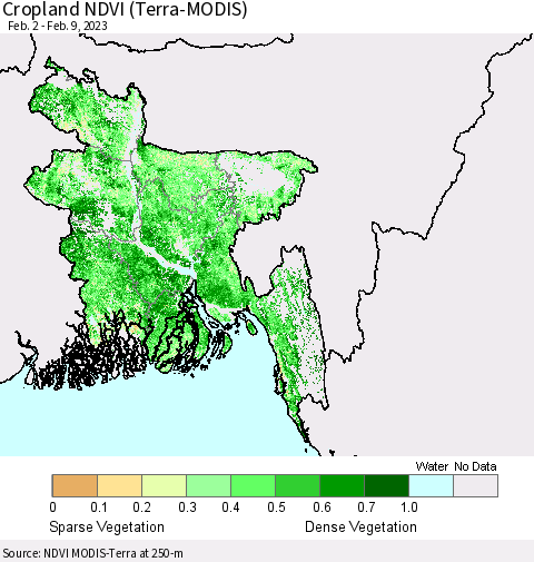 Bangladesh Cropland NDVI (Terra-MODIS) Thematic Map For 2/2/2023 - 2/9/2023