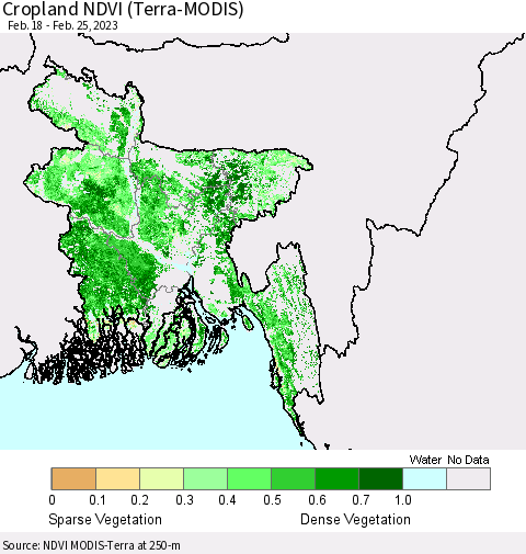 Bangladesh Cropland NDVI (Terra-MODIS) Thematic Map For 2/18/2023 - 2/25/2023